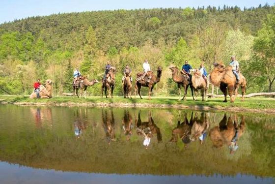 Ferienmax Alle Ausflugsziele In Niederösterreich 